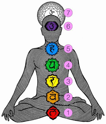 El camino de los chakras