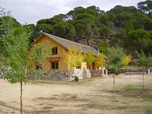 Ashram hoyo de luz