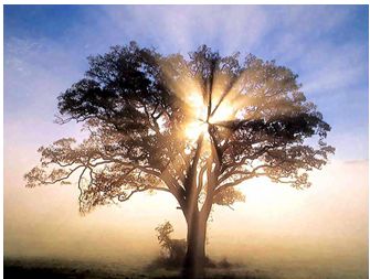 Emanando luz